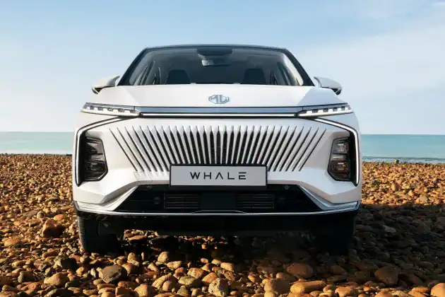 MG-Whale-2024-Review