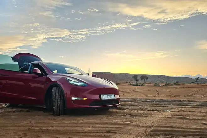SALE TESLA MODEL Y PERFORMANCE