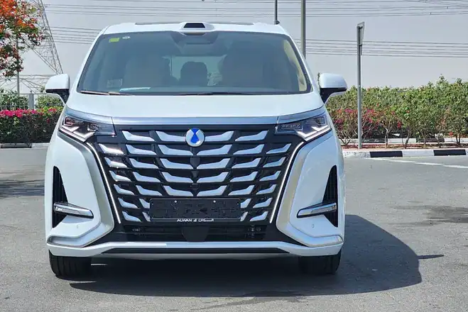 Brand New 2025 BYD Denza D9 AWD Luxury Van